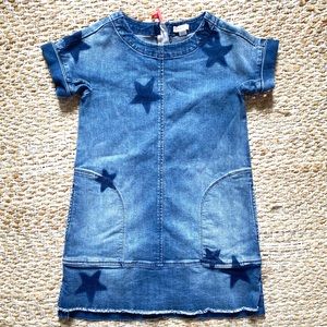 J.Crew Denim Dress